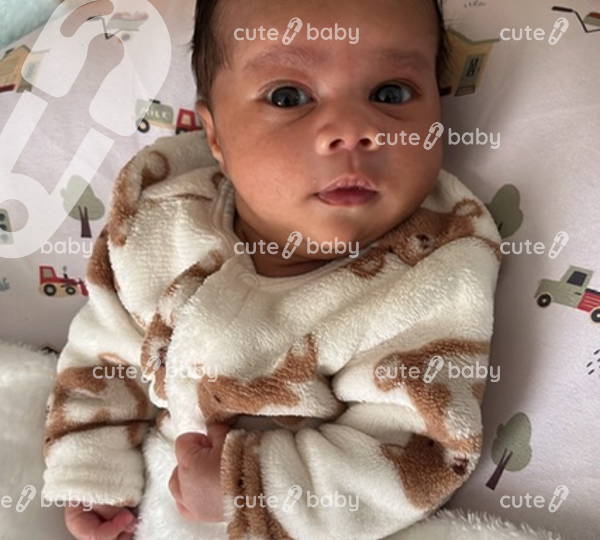 Mateo