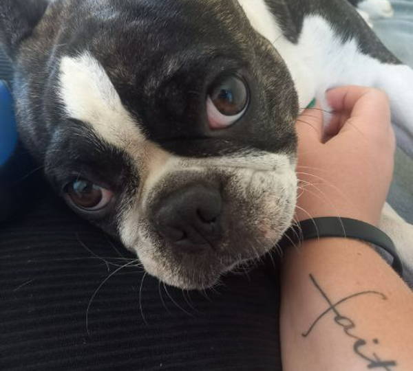 Daisy