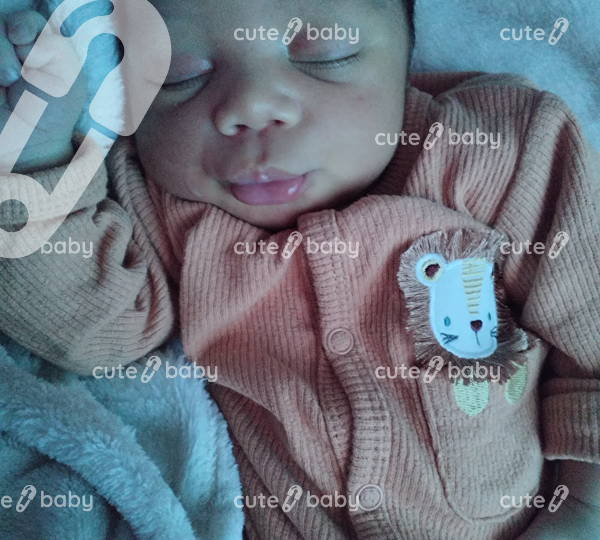 Mason