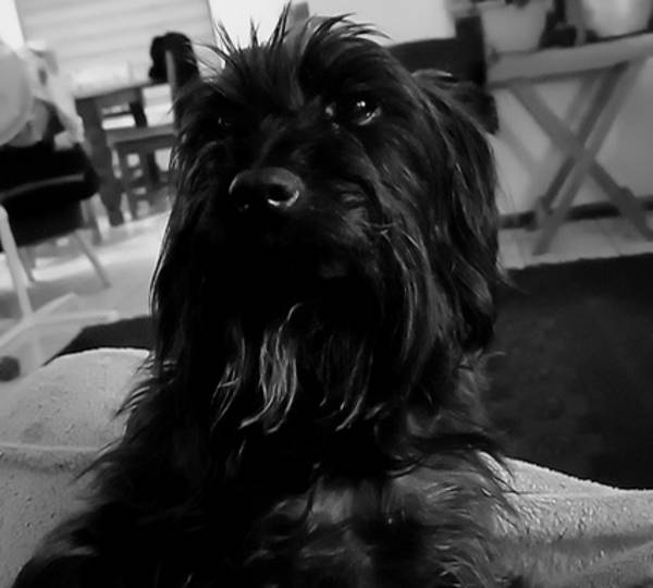 Mitty