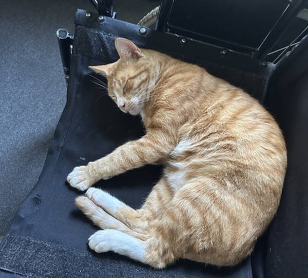 Nugget