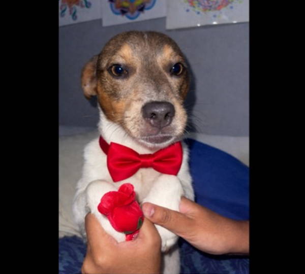Max
