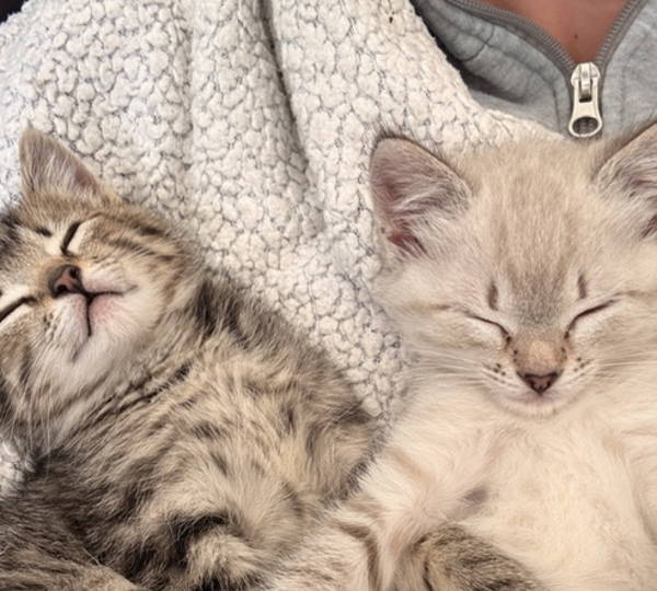 Skye & Maysie