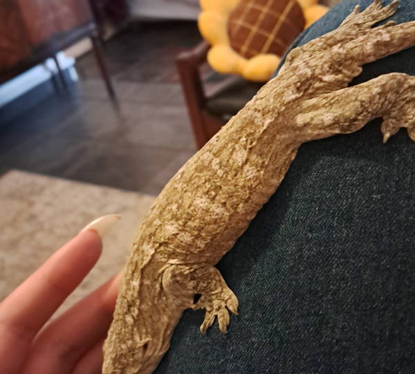 Shenron