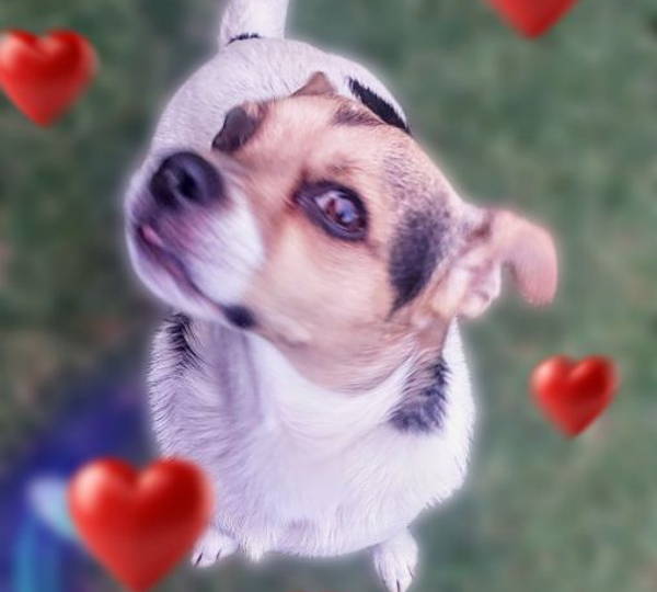 Lola