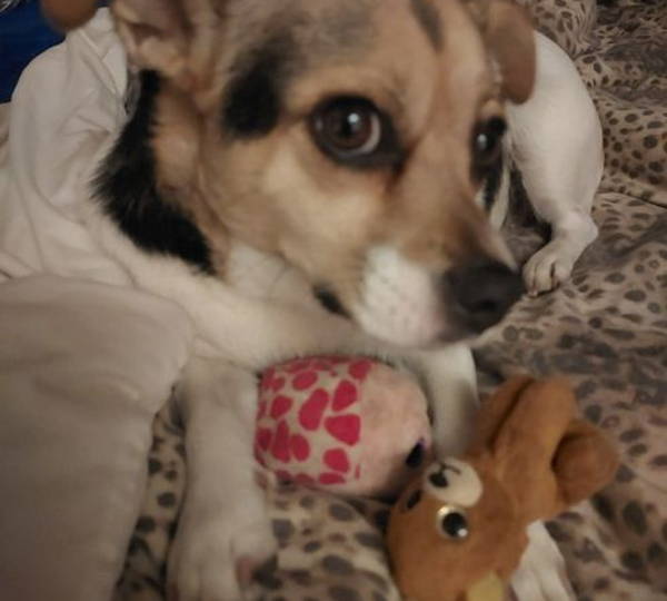 Lola