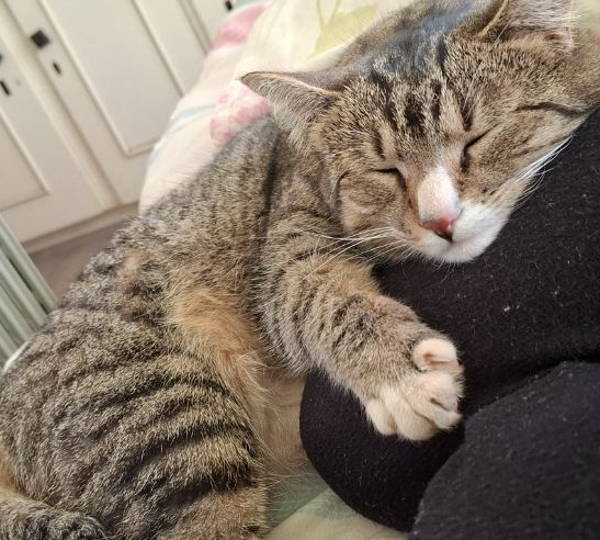 Mimi