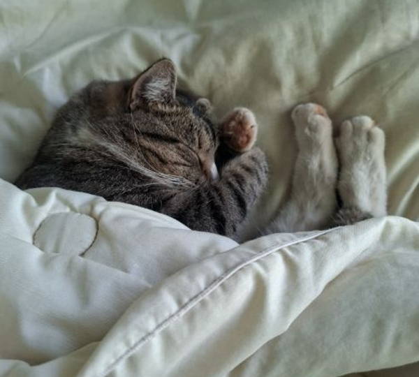 Mimi