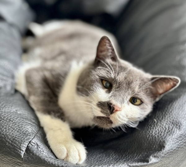 Dusty