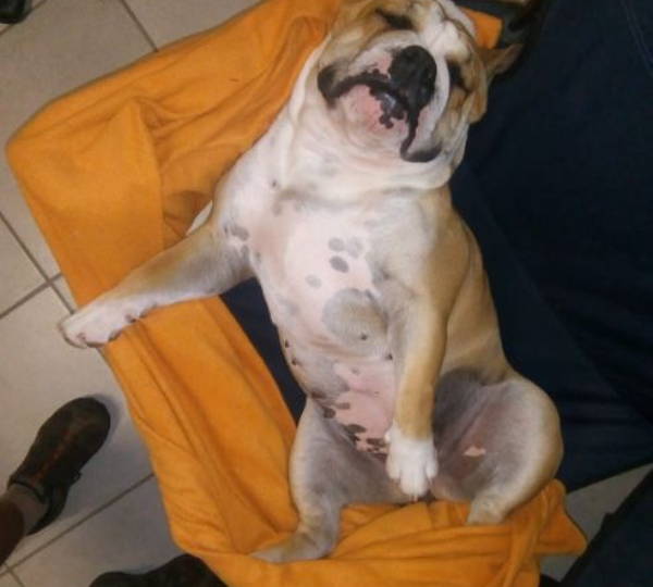 Daisy