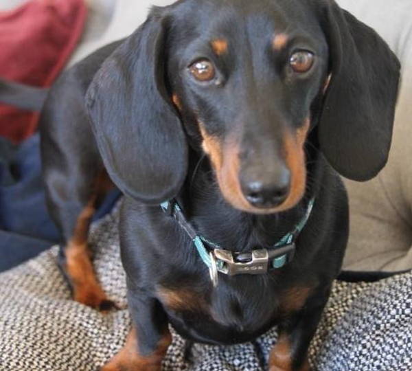 Lola