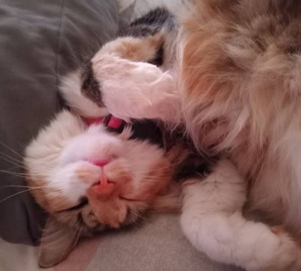 Luna