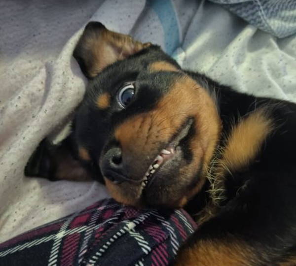 Samson