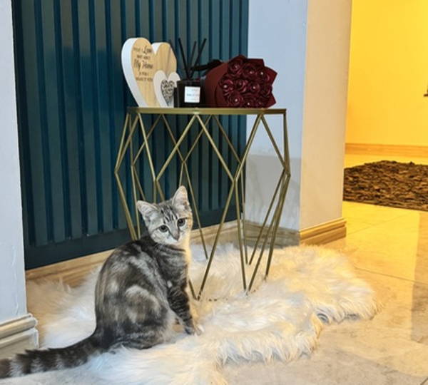 Nala