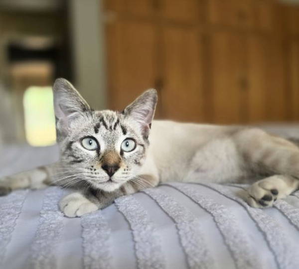 Zoey