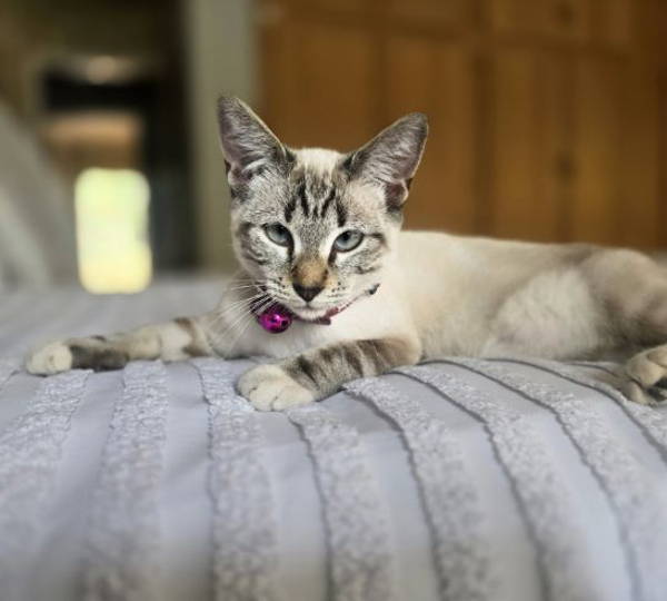 Zoey