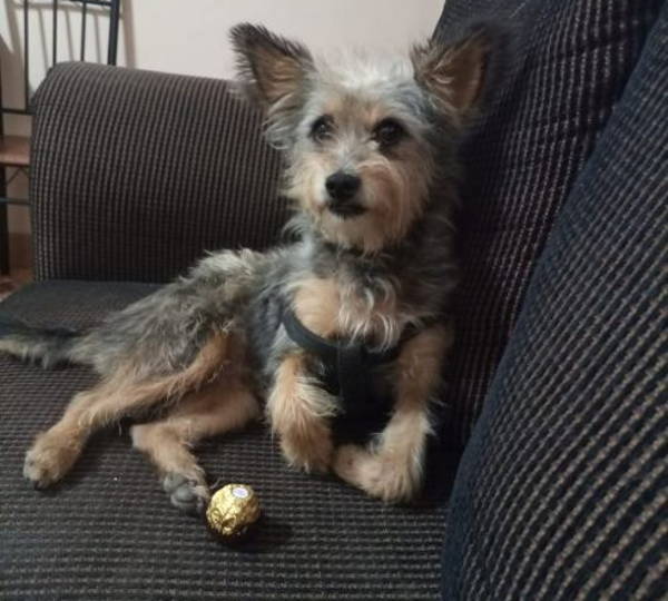 Ferrero