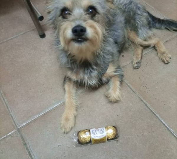 Ferrero