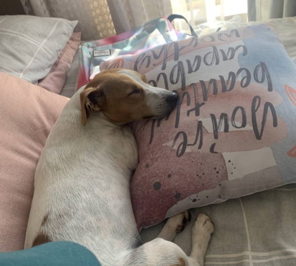 Nala