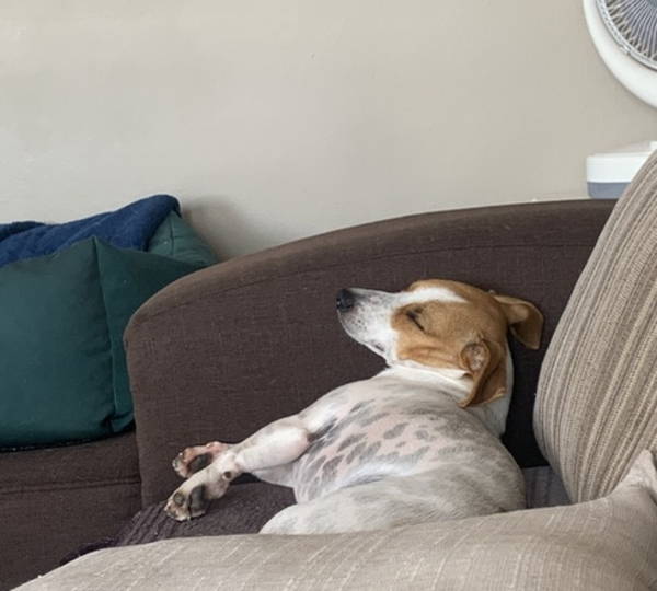 Nala