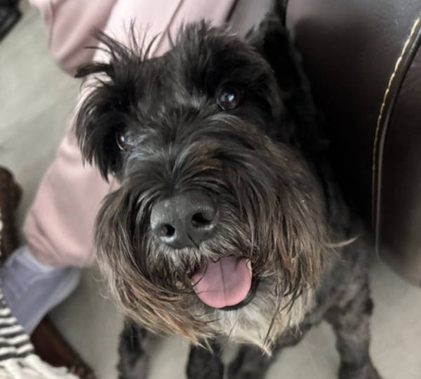Bentley