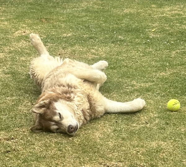 Leo