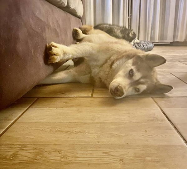 Leo