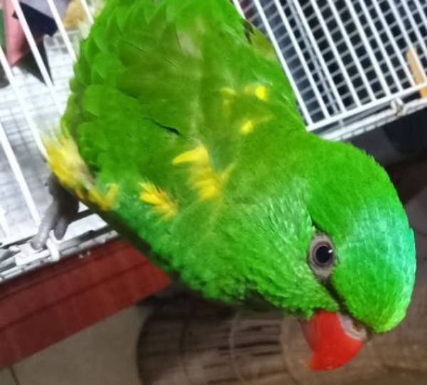 Rio
