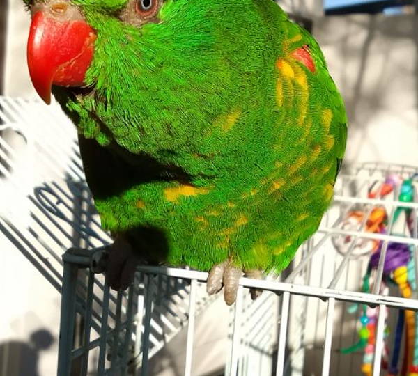 Rio