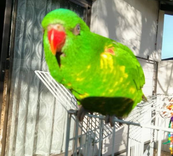 Rio