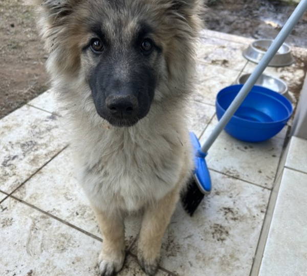 Luka