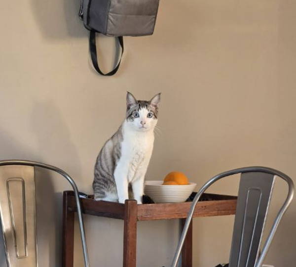 Pepper