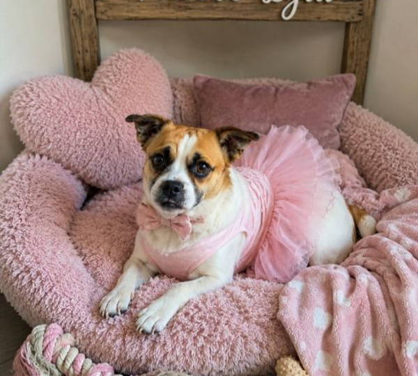 Phoebe-Lyla
