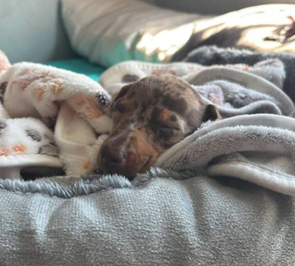 Skye