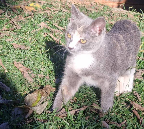 Luna