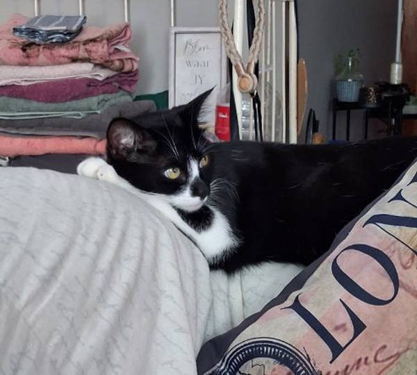 Cleo & Fluff Jas