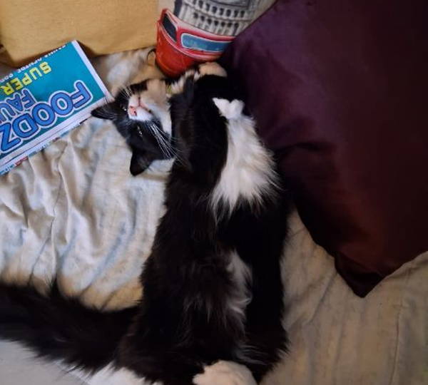 Cleo & Fluff Jas