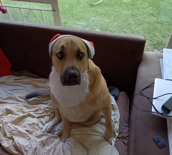 Maximus