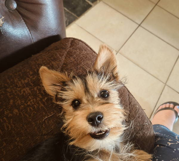 Tyson