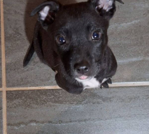 Lucy