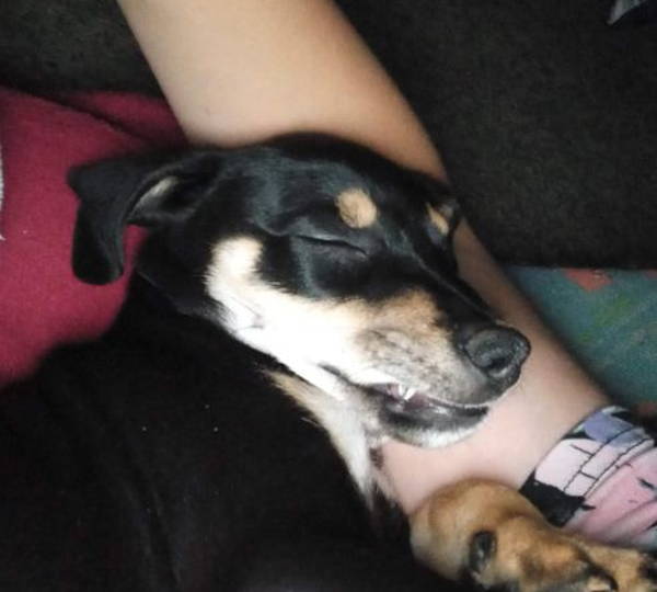Peanut