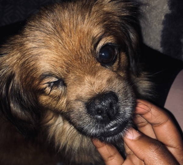 Simon