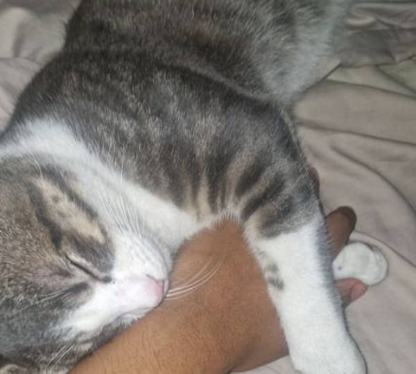 Puki