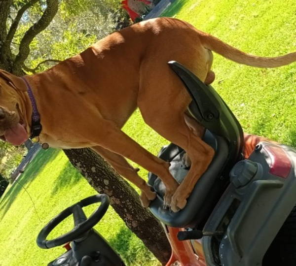 Milo