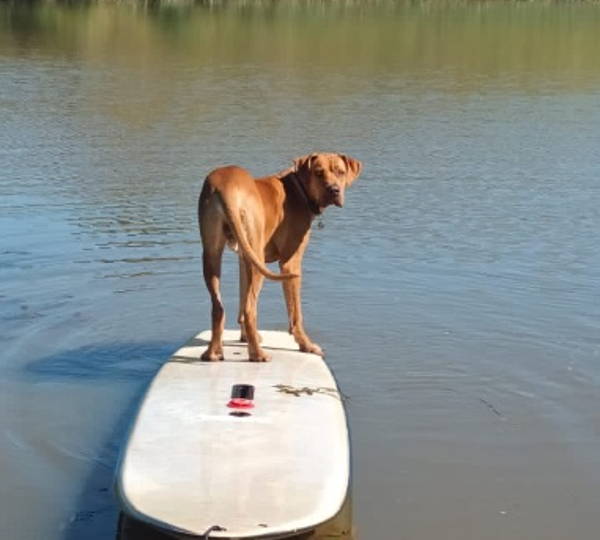 Milo