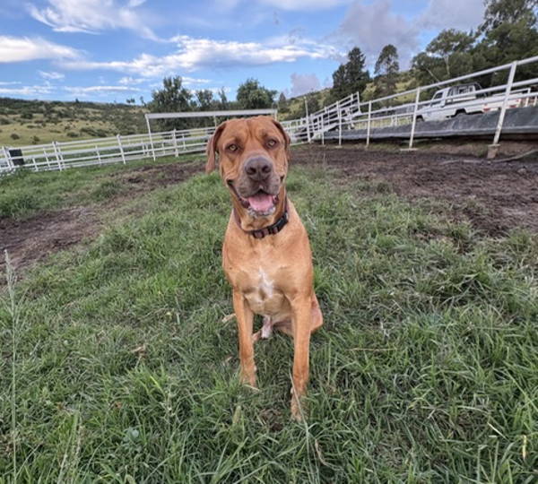 Milo