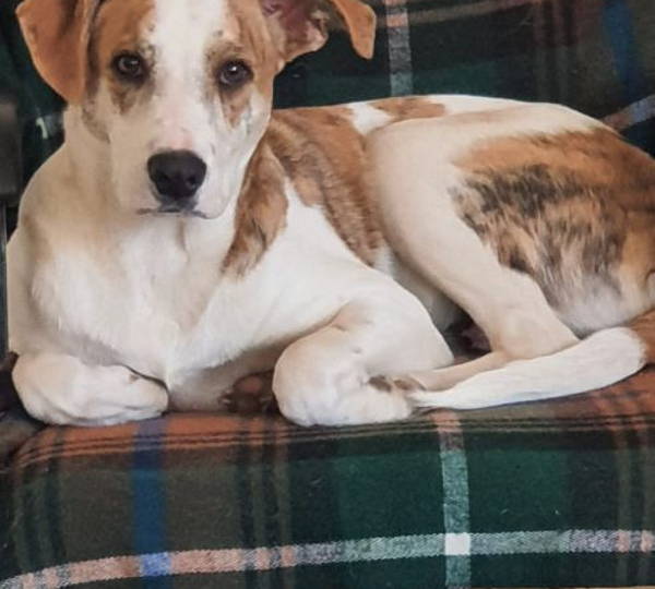 Charlie