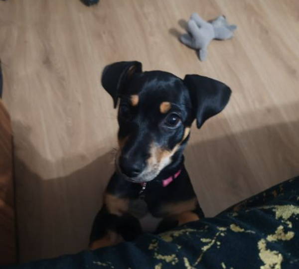 Dora