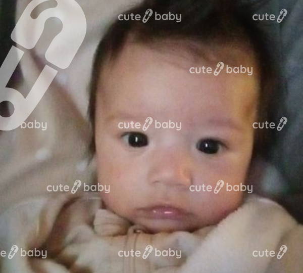 Zane