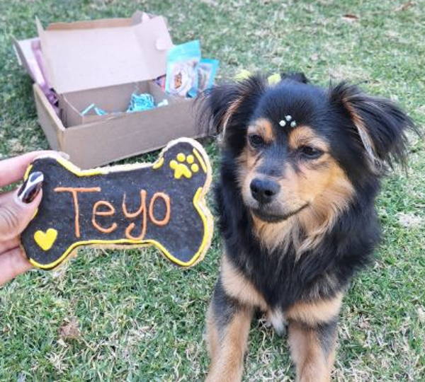 Téyo